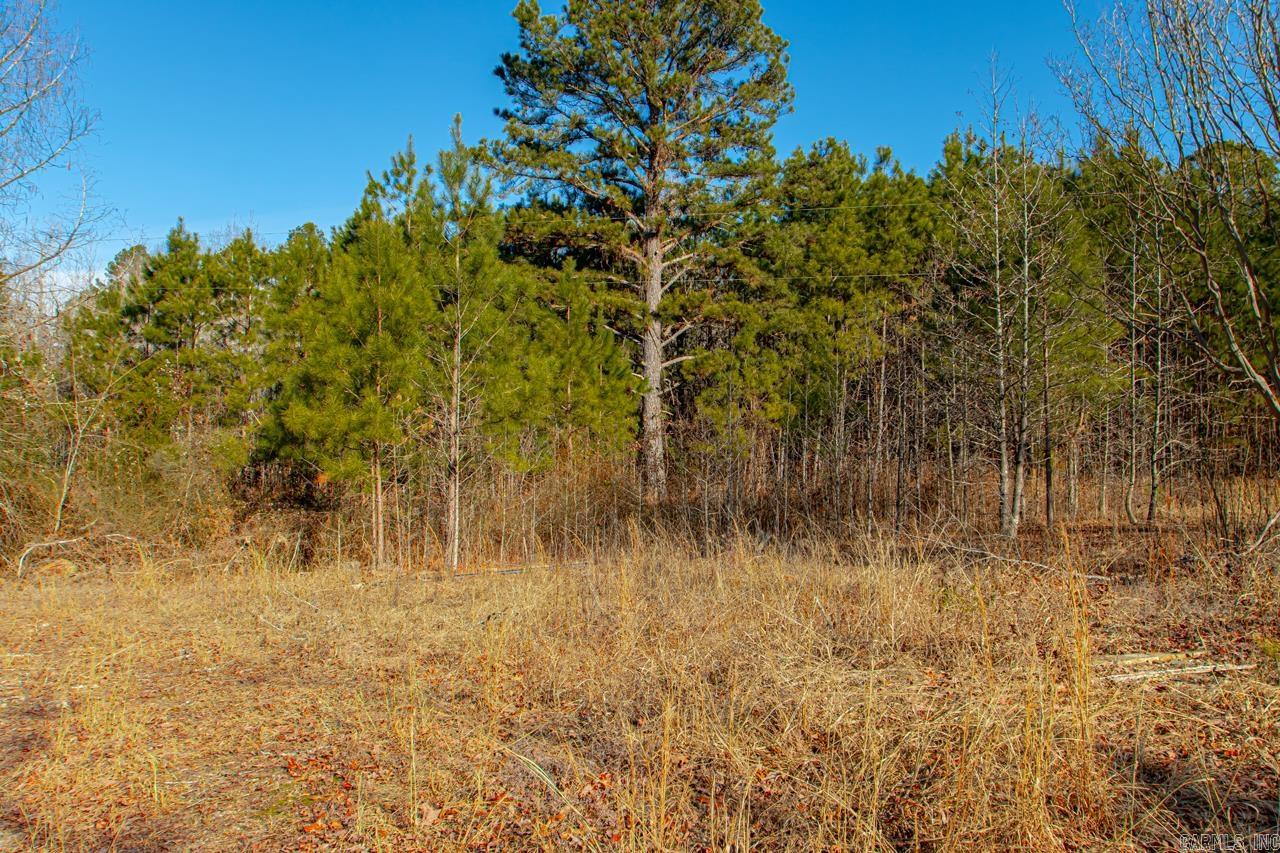 626 Palmetto Loop
