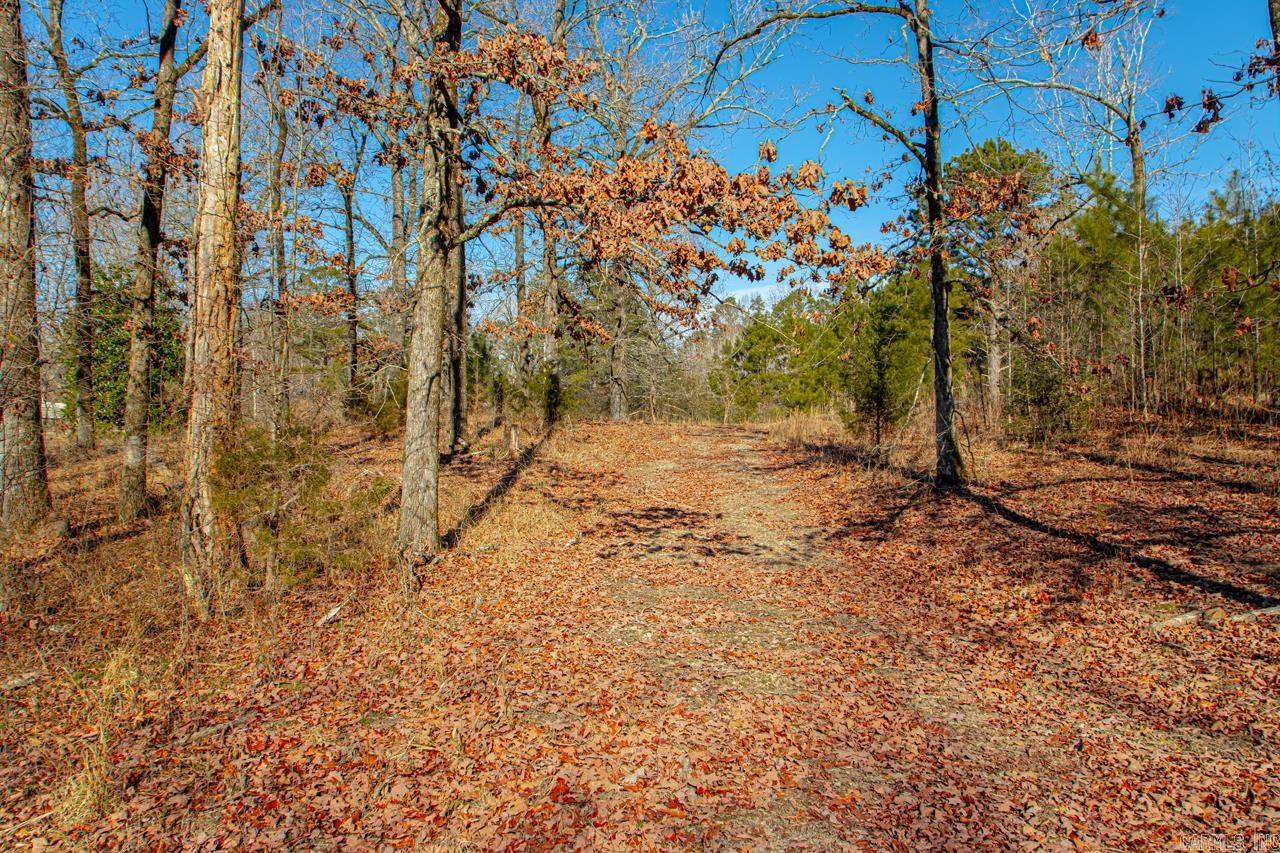 626 Palmetto Loop