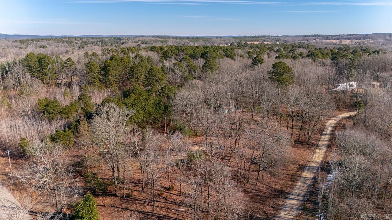 626 Palmetto Loop