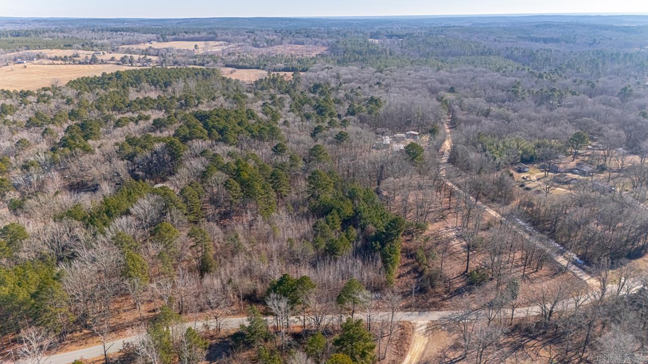 626 Palmetto Loop