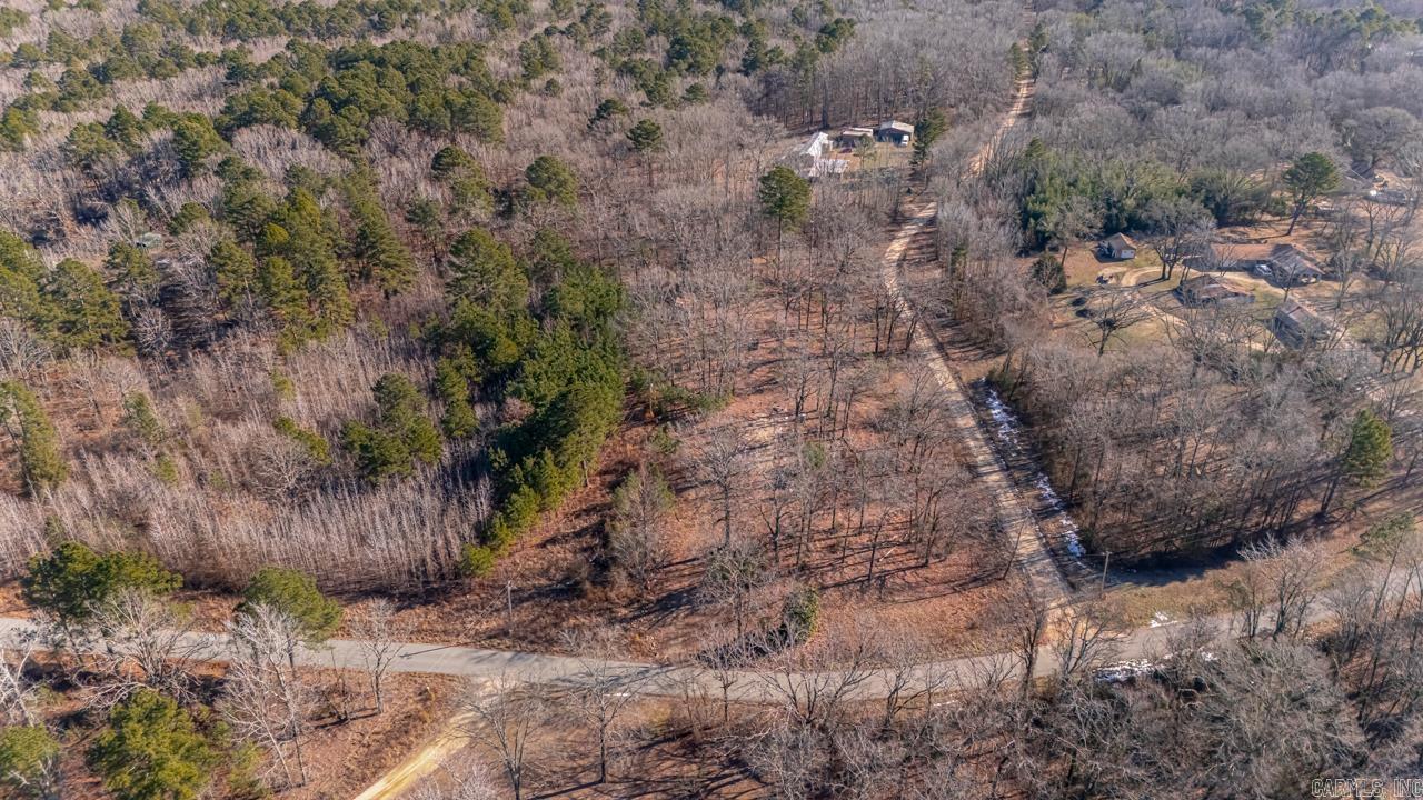 626 Palmetto Loop