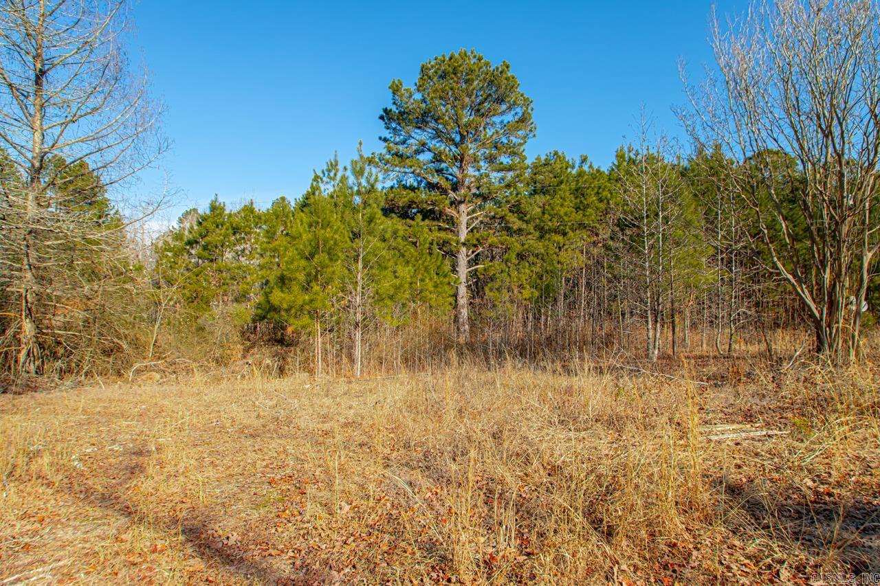626 Palmetto Loop
