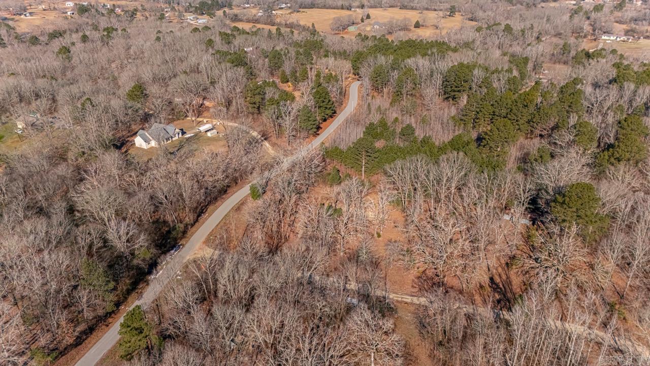 626 Palmetto Loop