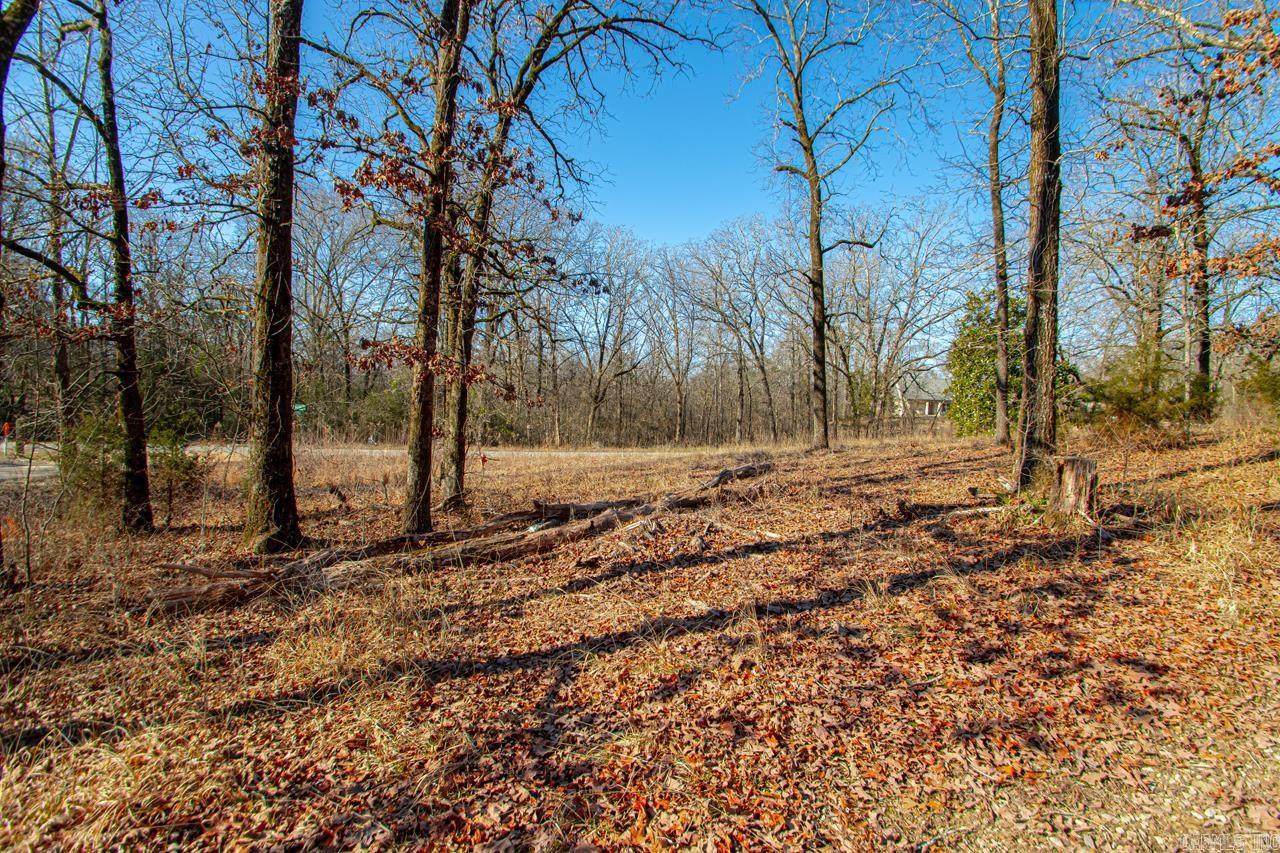 626 Palmetto Loop