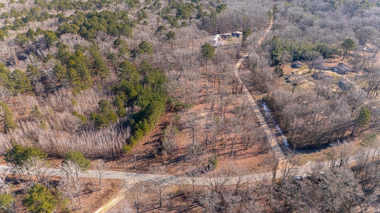 626 Palmetto Loop