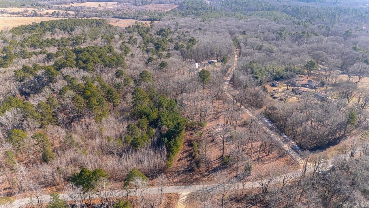 626 Palmetto Loop
