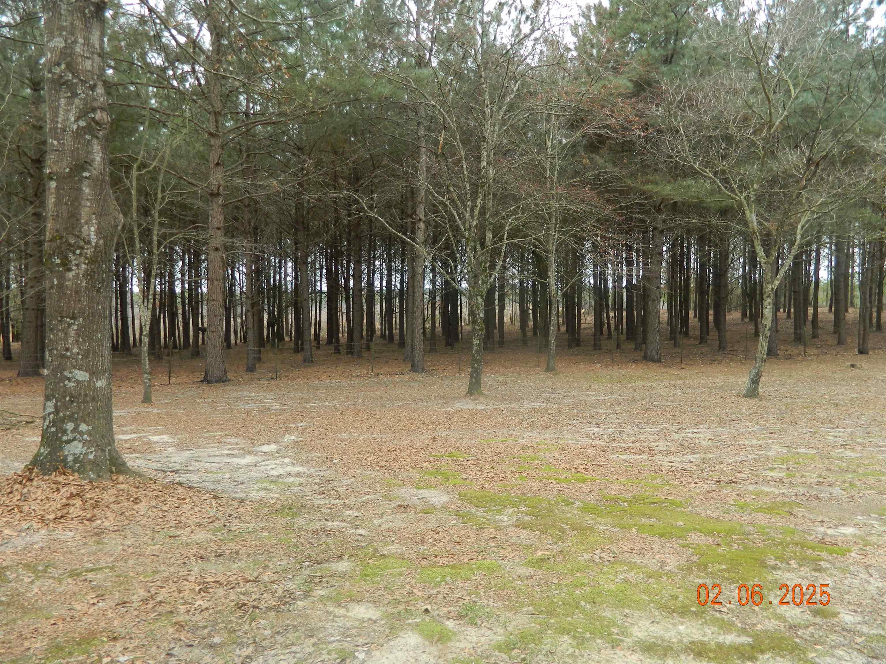90 Marion Riley Road