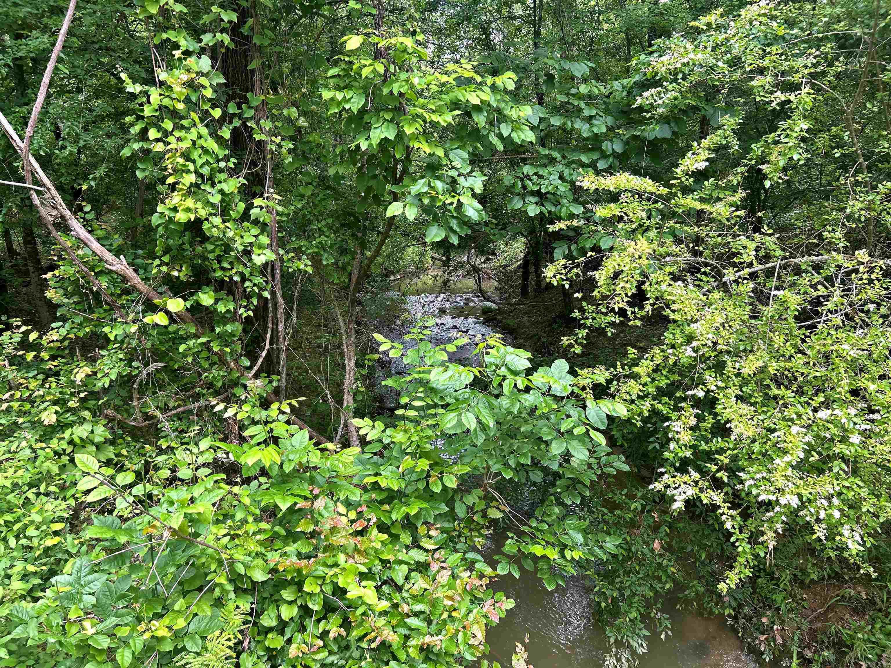TBD Caddo Drive