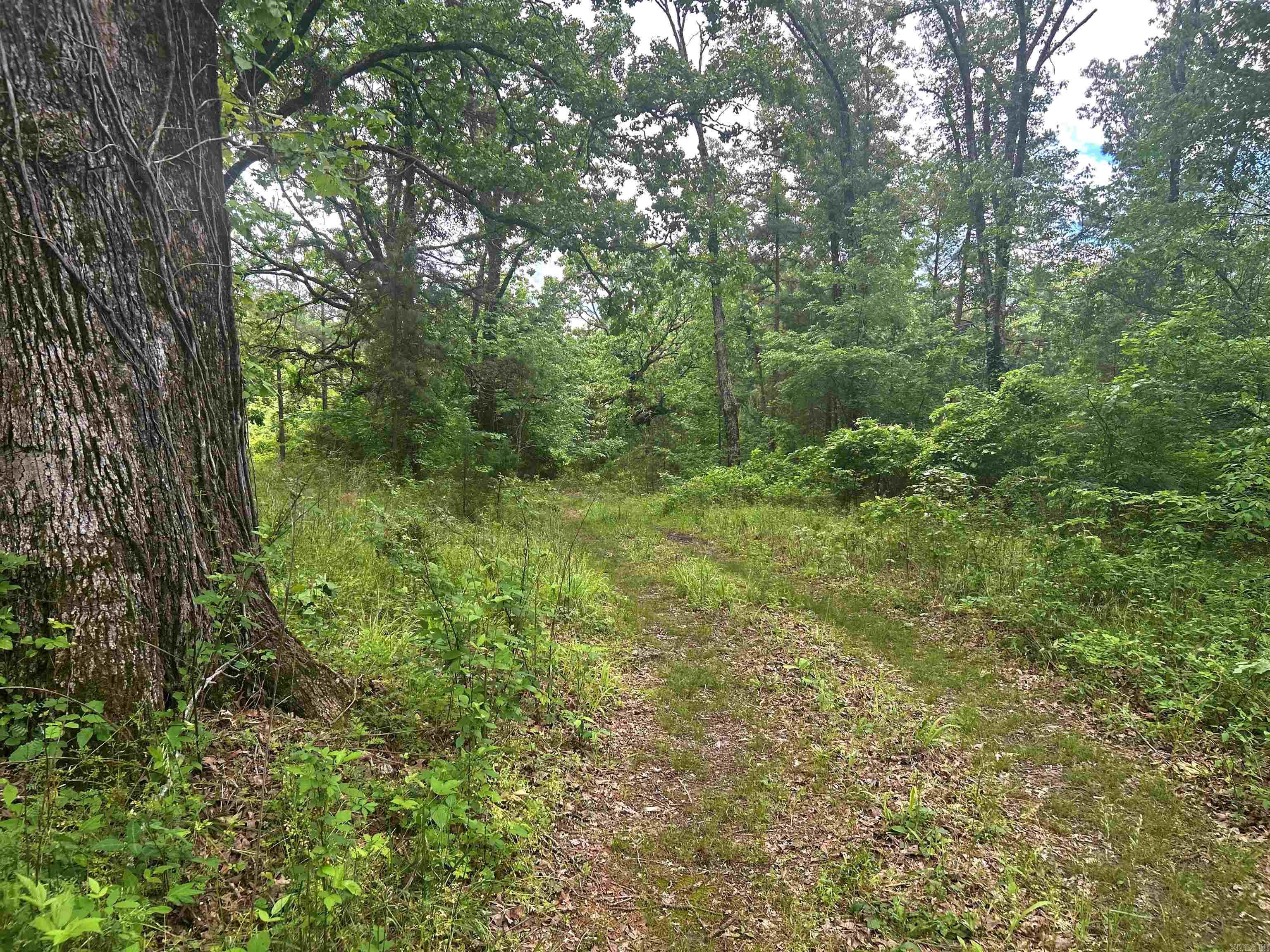 TBD Caddo Drive