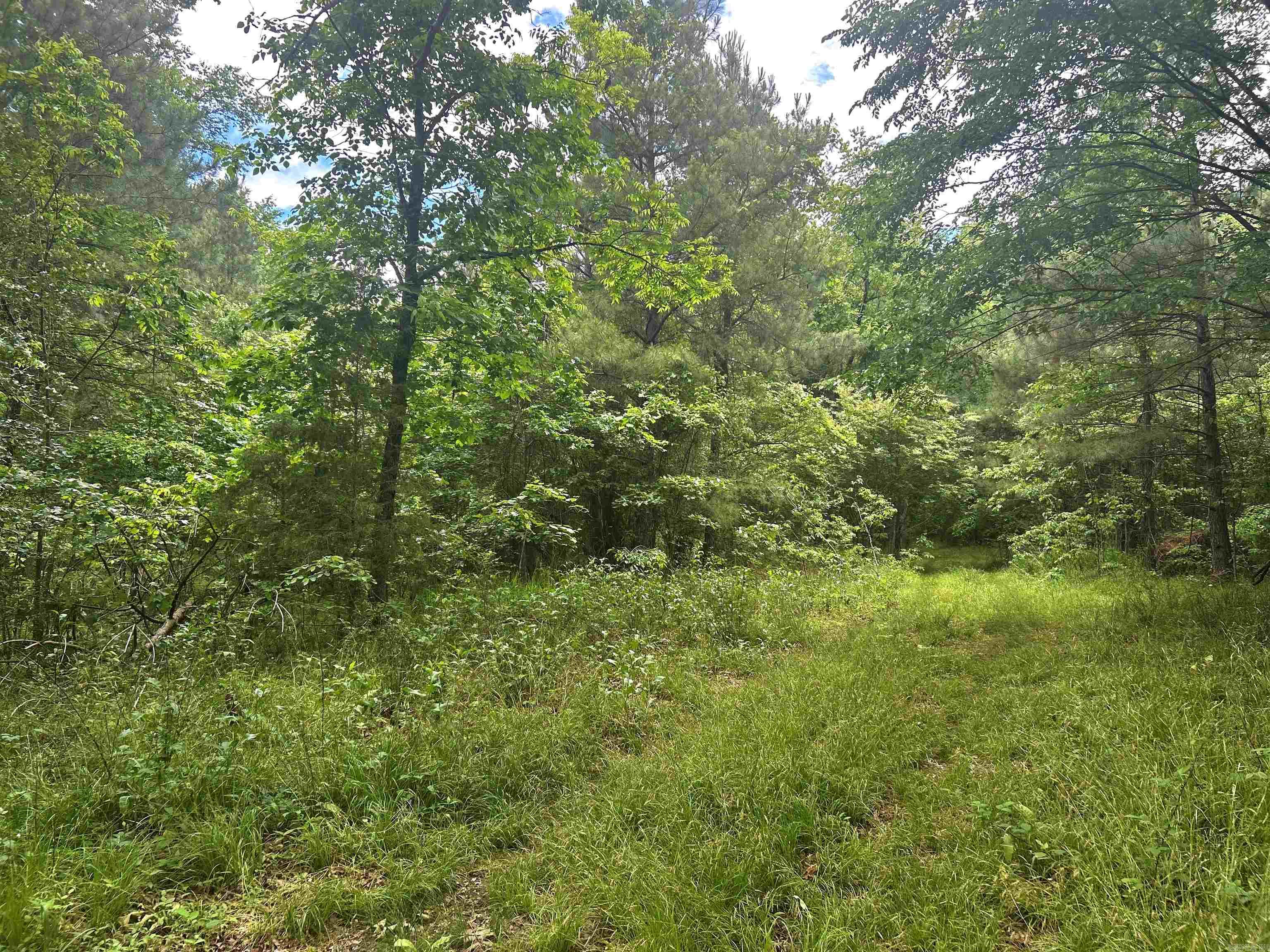TBD Caddo Drive