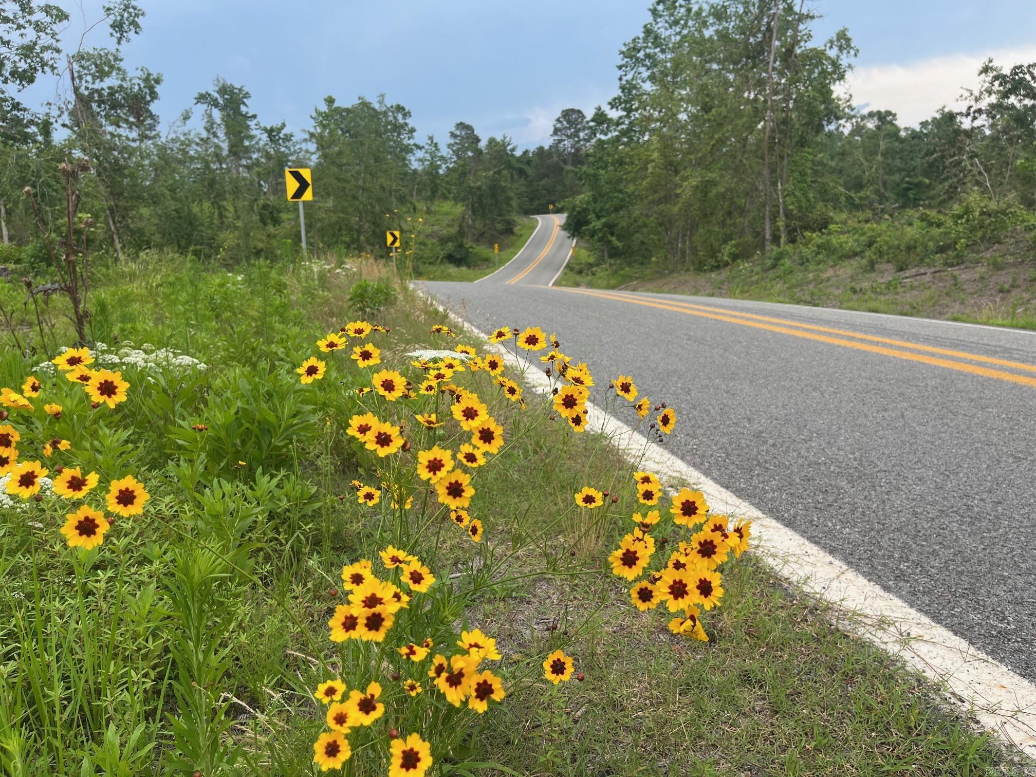 TBD Hwy 84