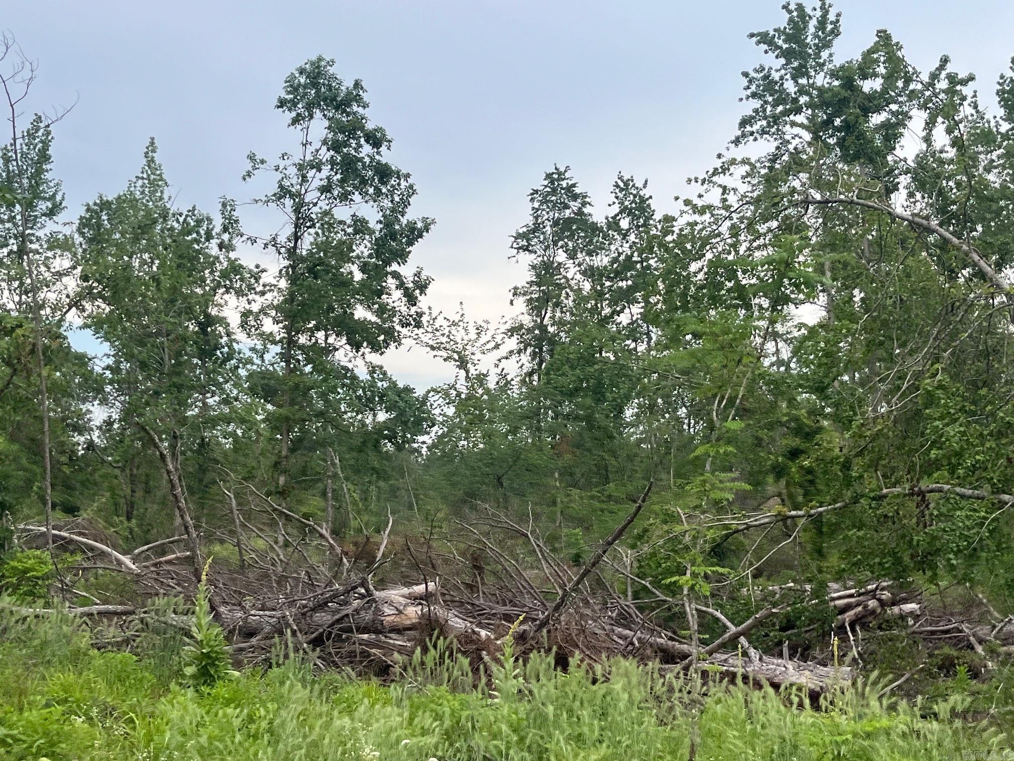 TBD Hwy 84