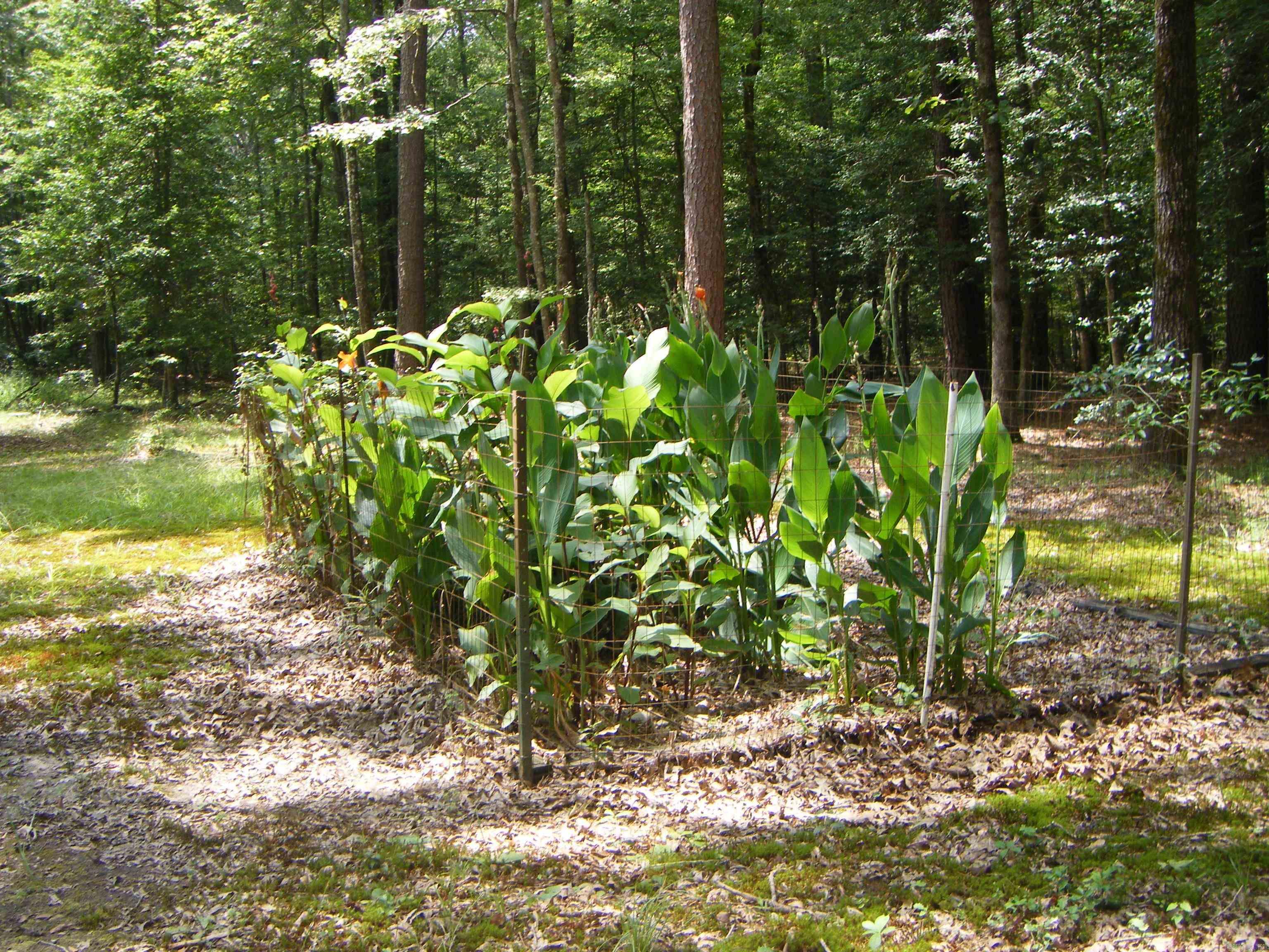 420 E Farm Road