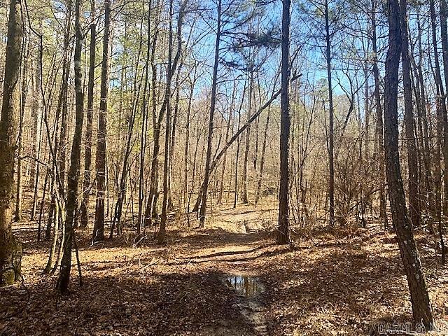 TBD Midway Road