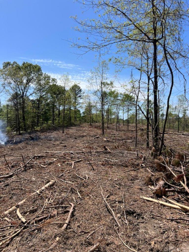 TBD Hwy 84 Unit: Tract D