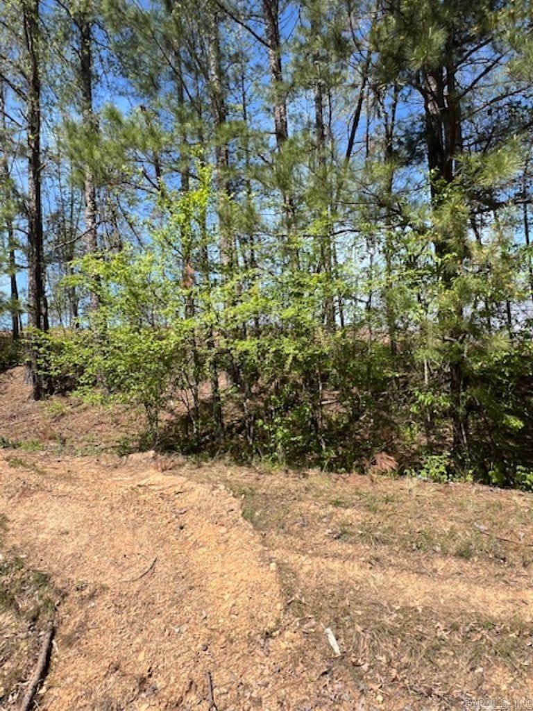 TBD Hwy 84 Unit: Tract D