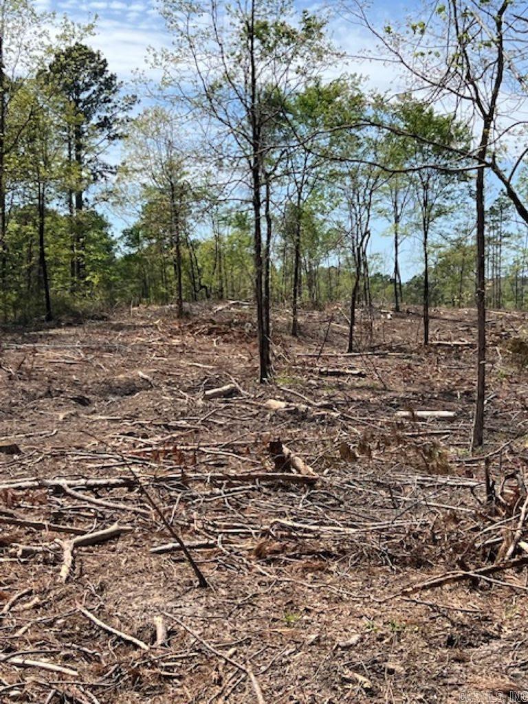 TBD Hwy 84 Unit: Tract D