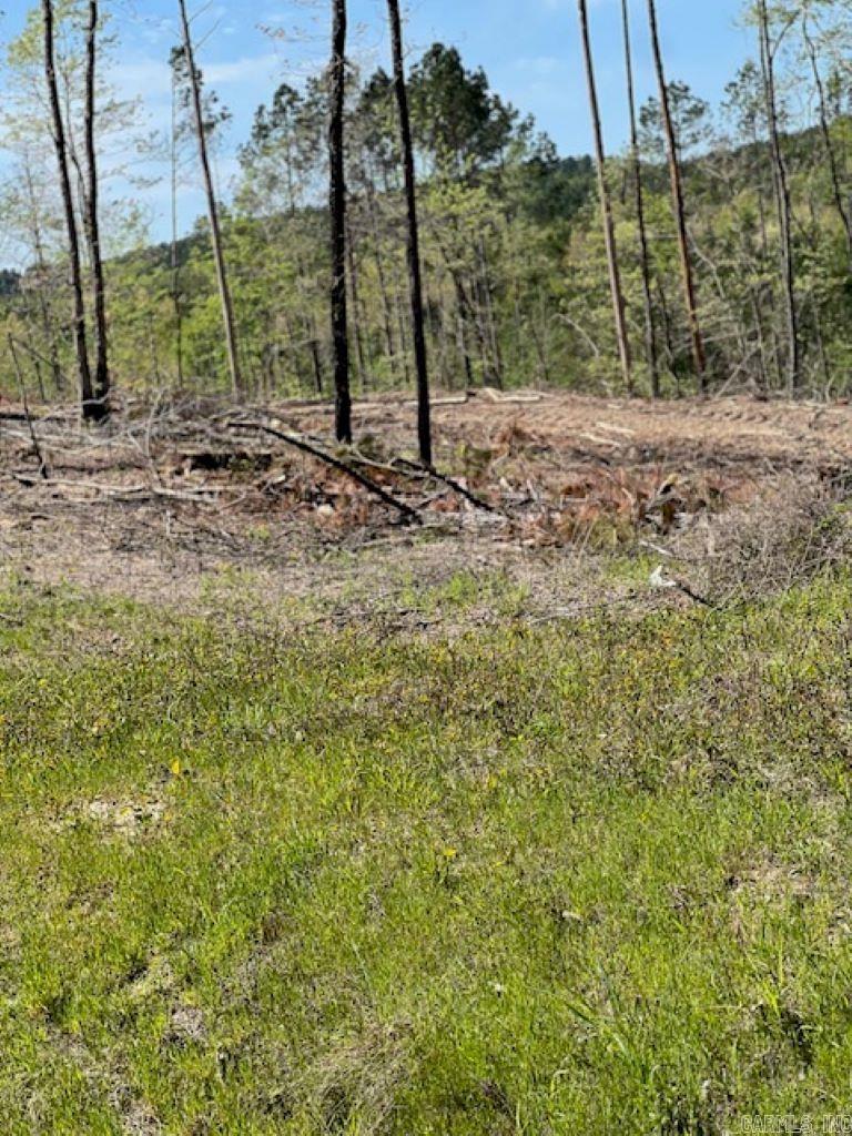 TBD Hwy 84 Unit: Tract B