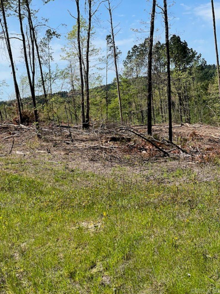TBD Hwy 84 Unit: Tract B