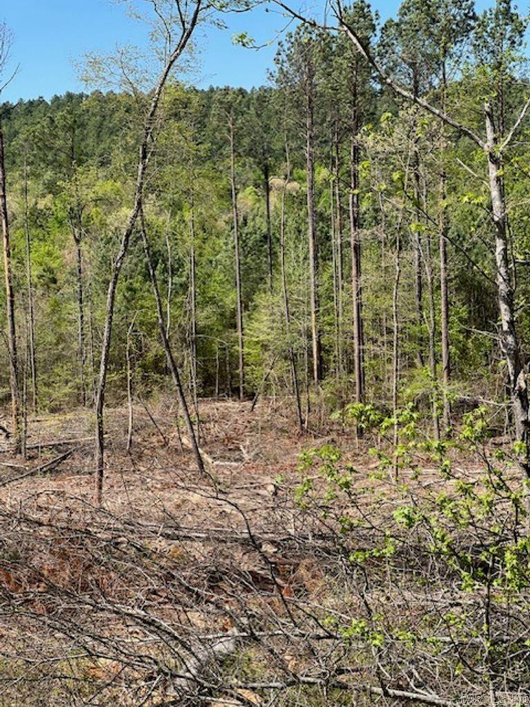 TBD Hwy 84 Unit: Tract B
