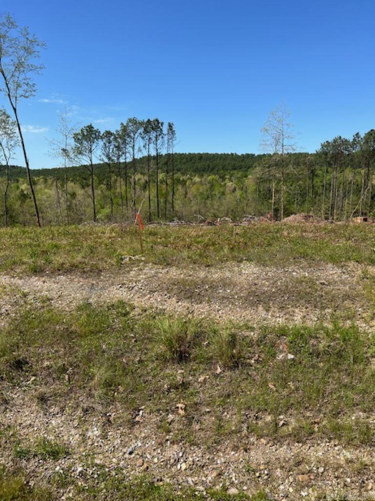 TBD Hwy 84 Unit: Tract A