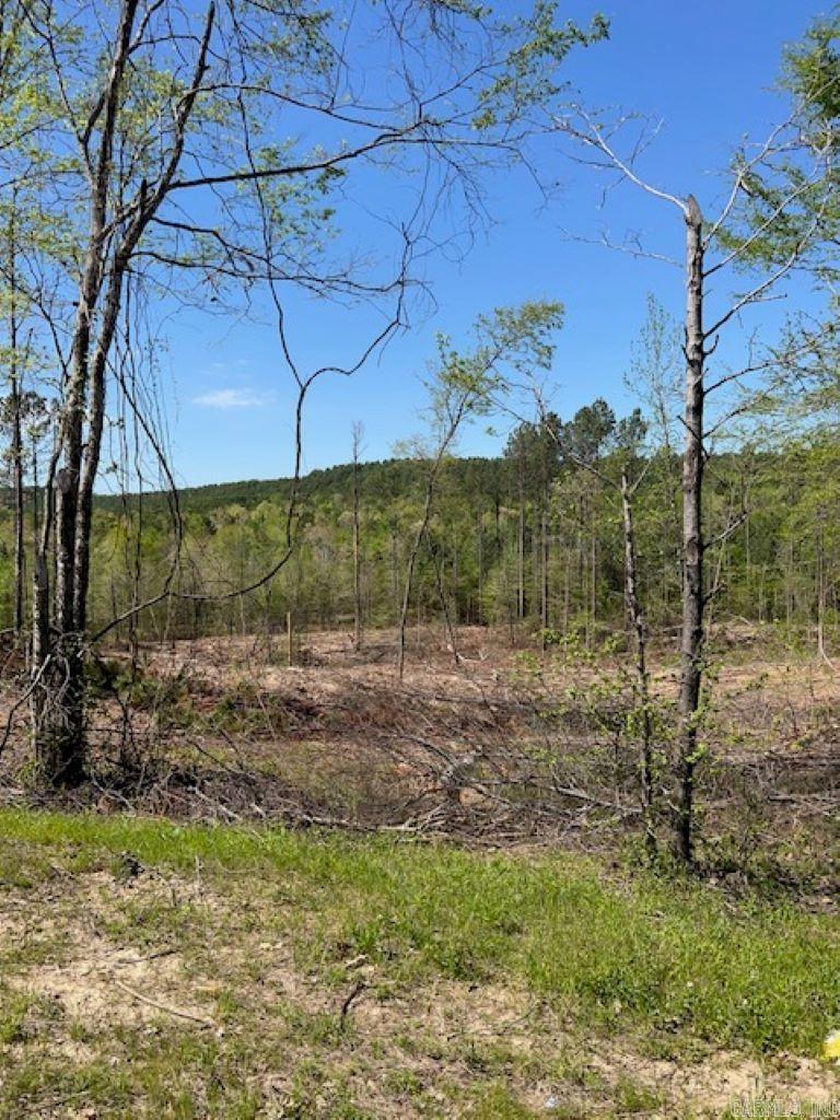 TBD Hwy 84 Unit: Tract A