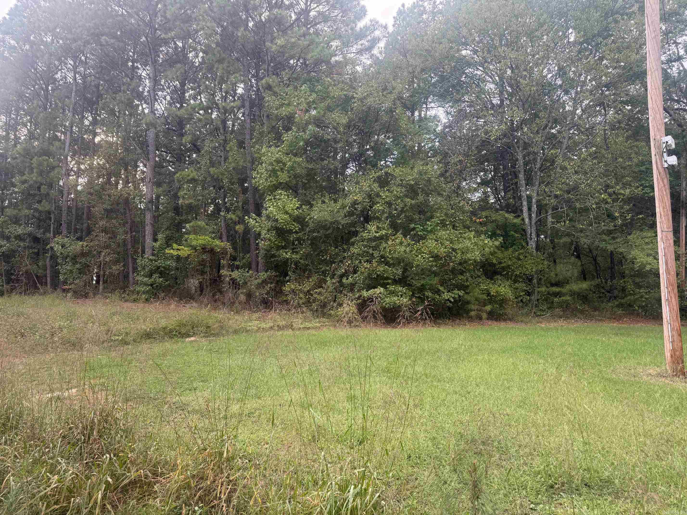 1537 Williams Cutoff Road