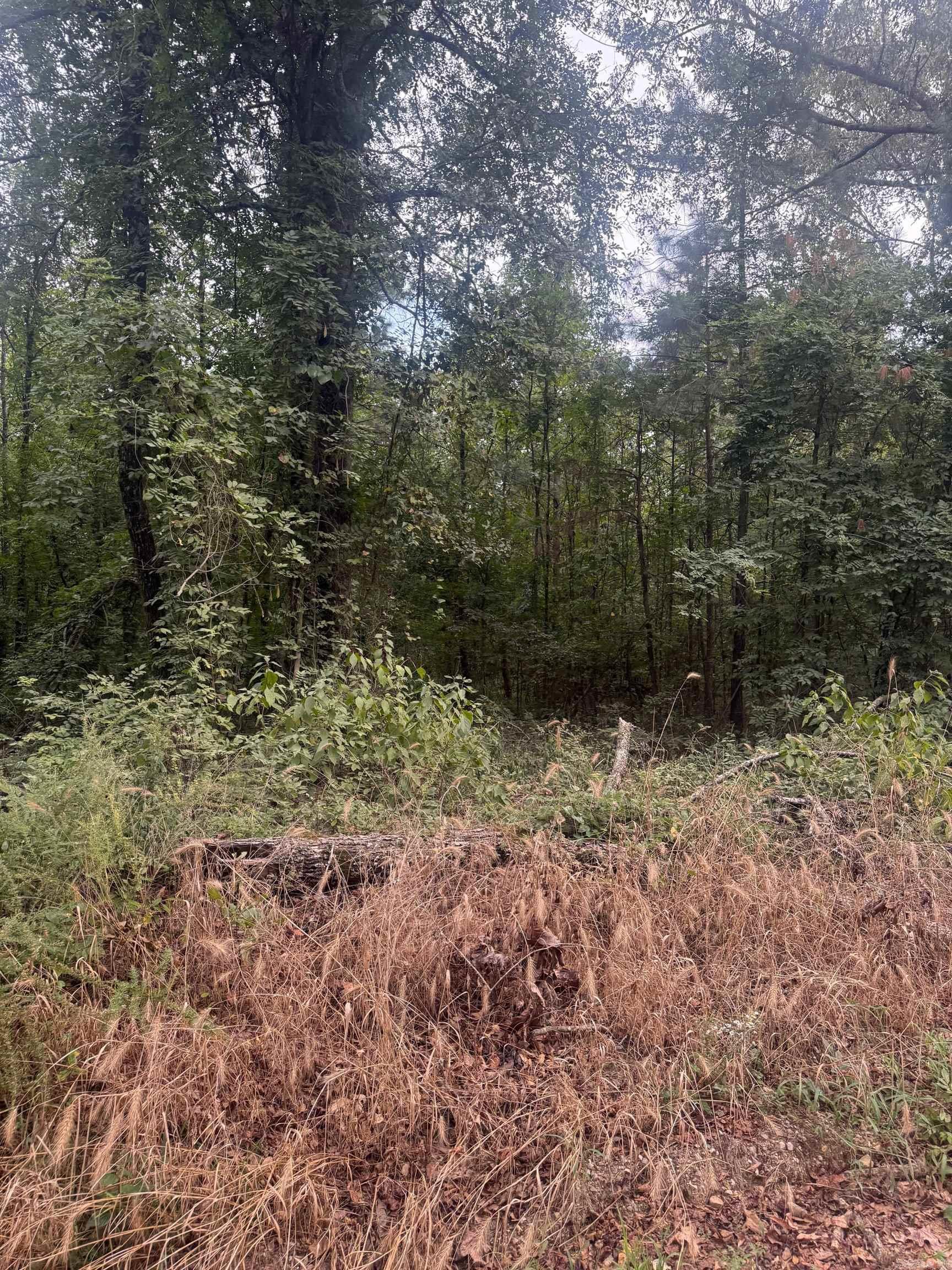 TBD Williams Cutoff Road