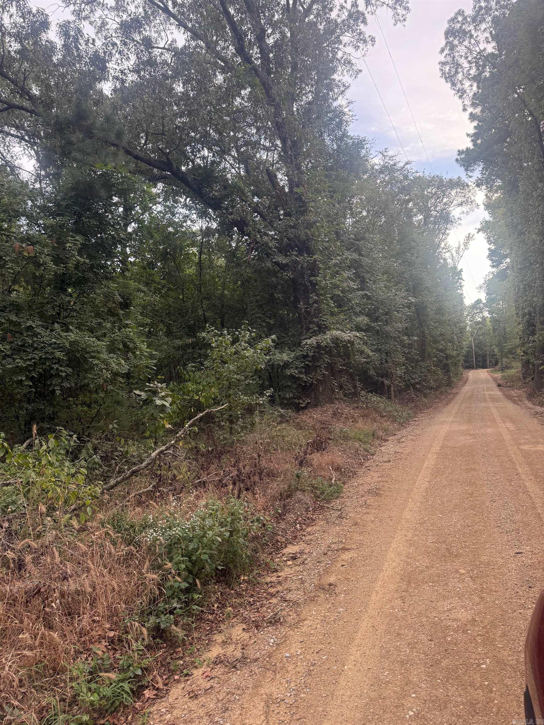 TBD Williams Cutoff Road