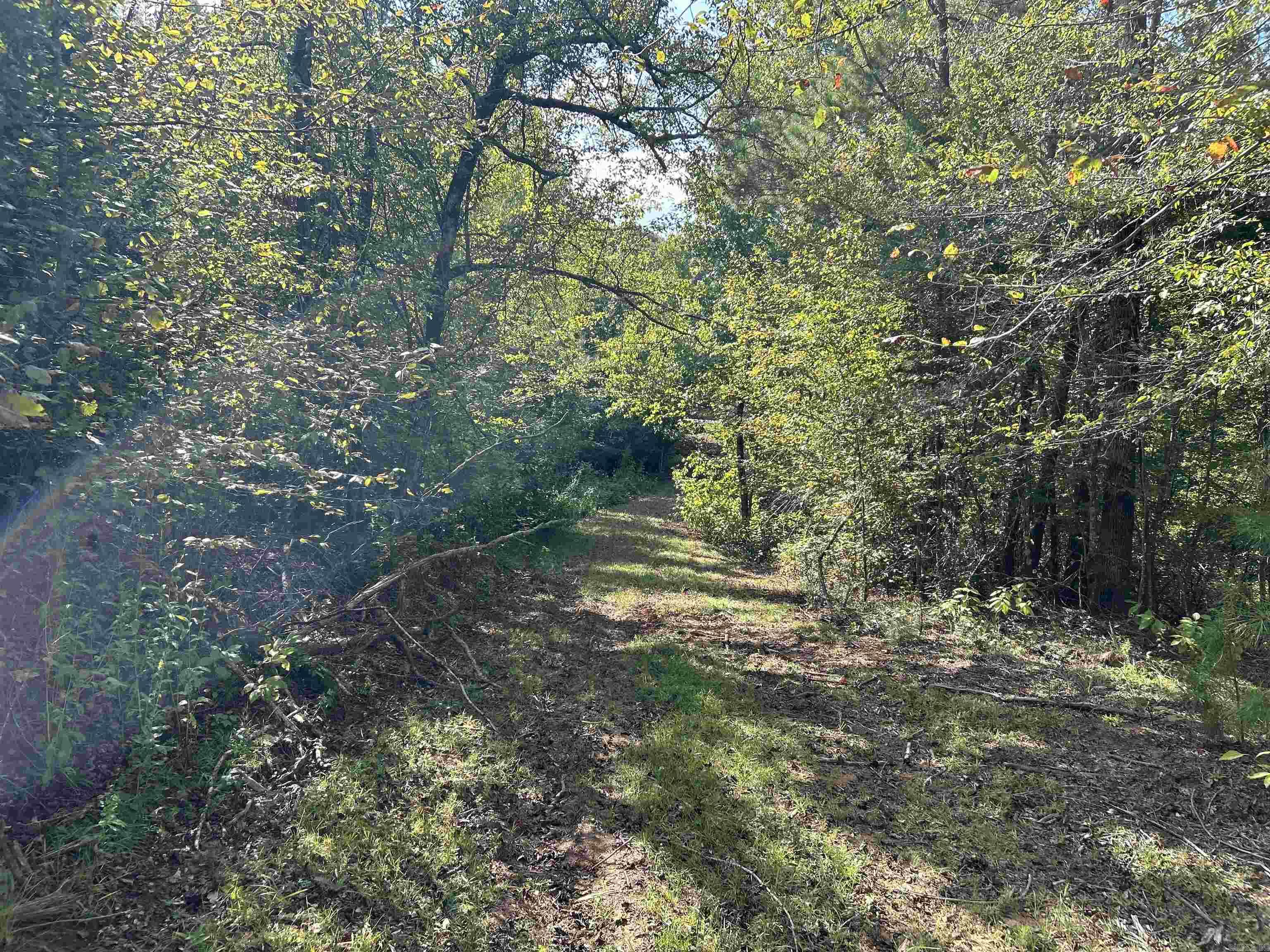 TBD Cedar Grove Road
