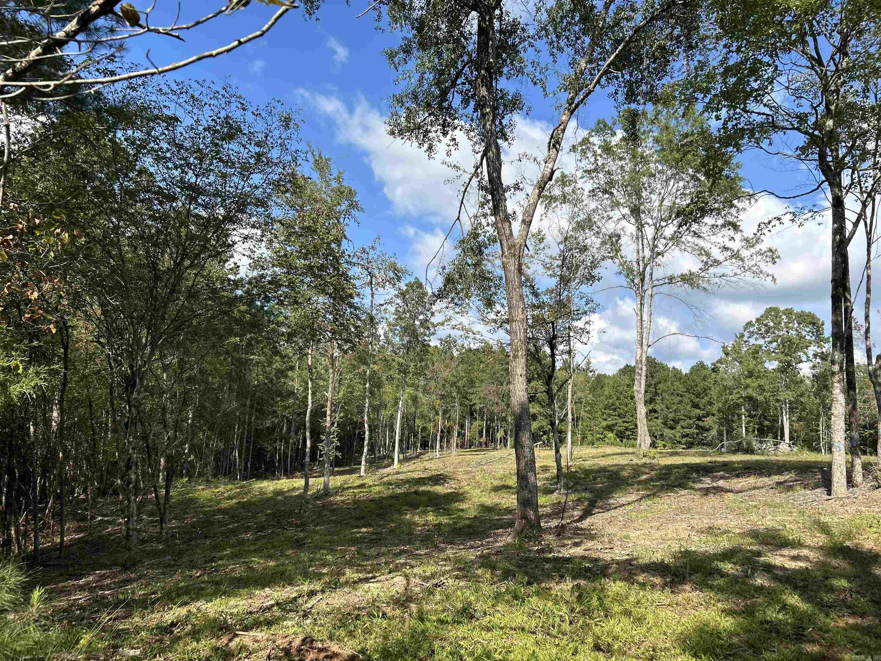 TBD Cedar Grove Road
