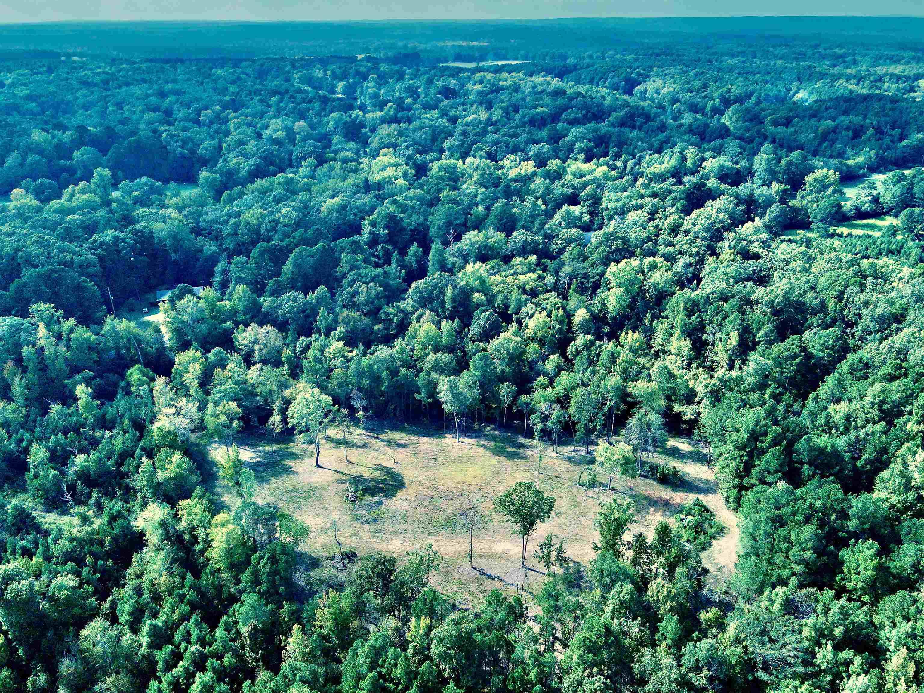 TBD Cedar Grove Road