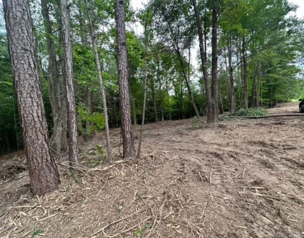 TBD Cedar Grove Road
