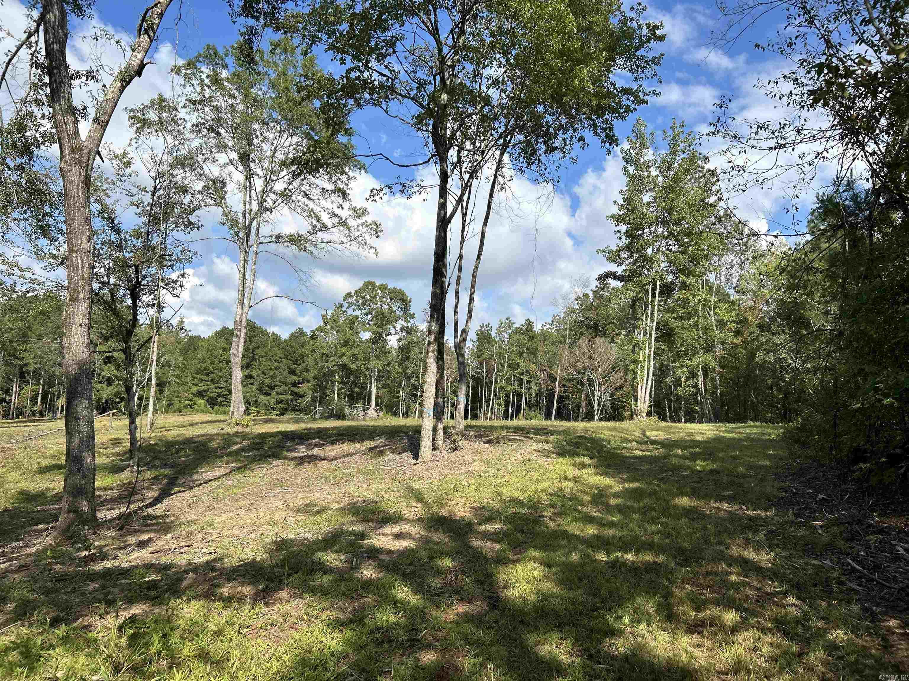 TBD Cedar Grove Road
