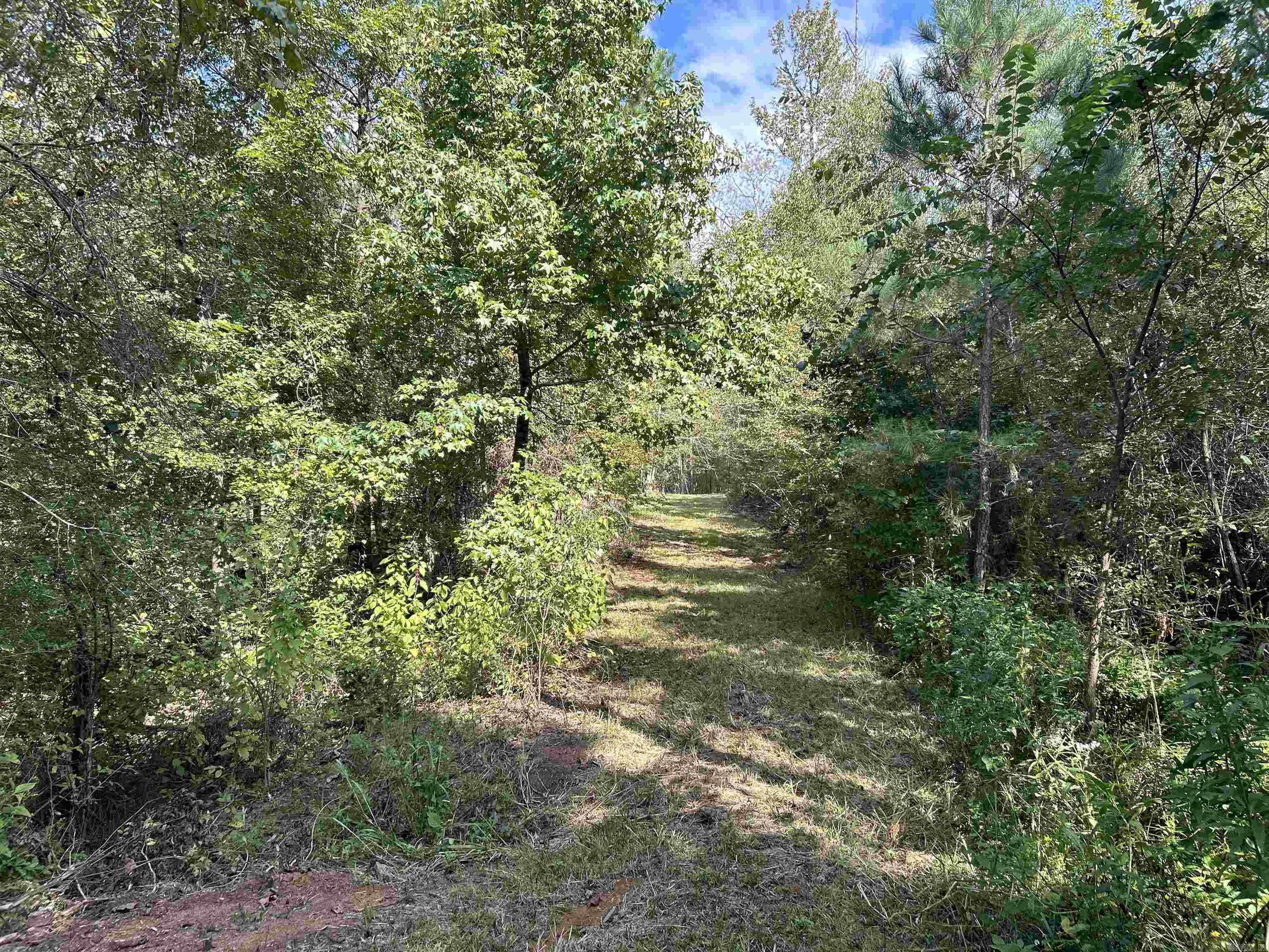 TBD Cedar Grove Road