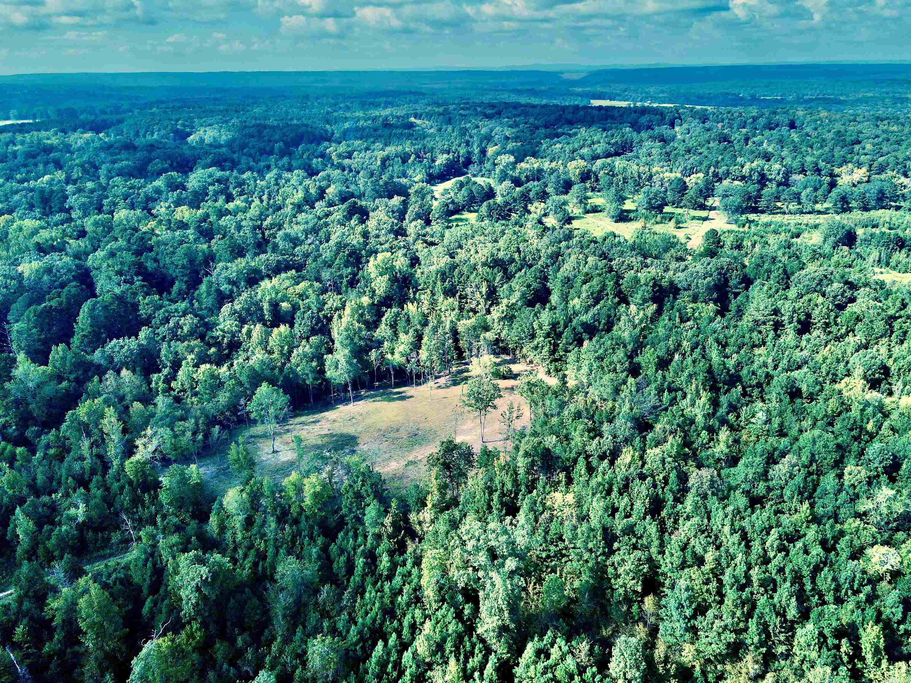 TBD Cedar Grove Road