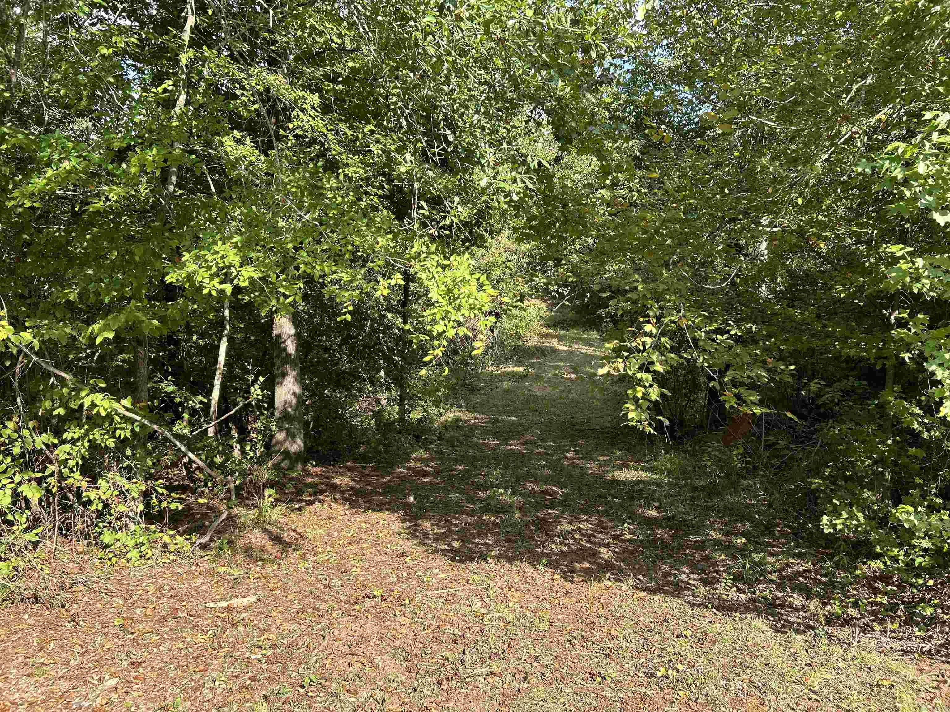 TBD Cedar Grove Road