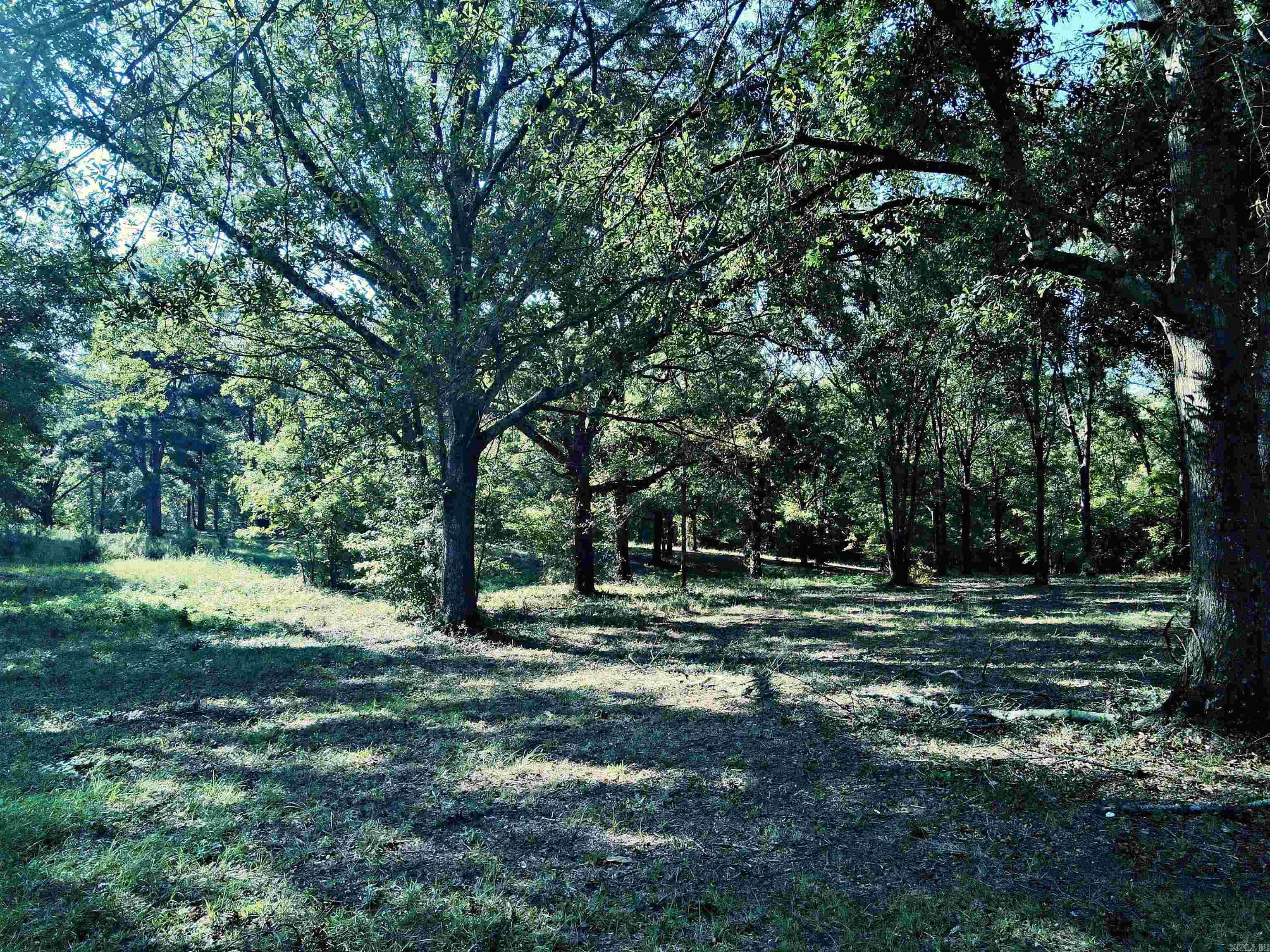 TBD Scottish Trail