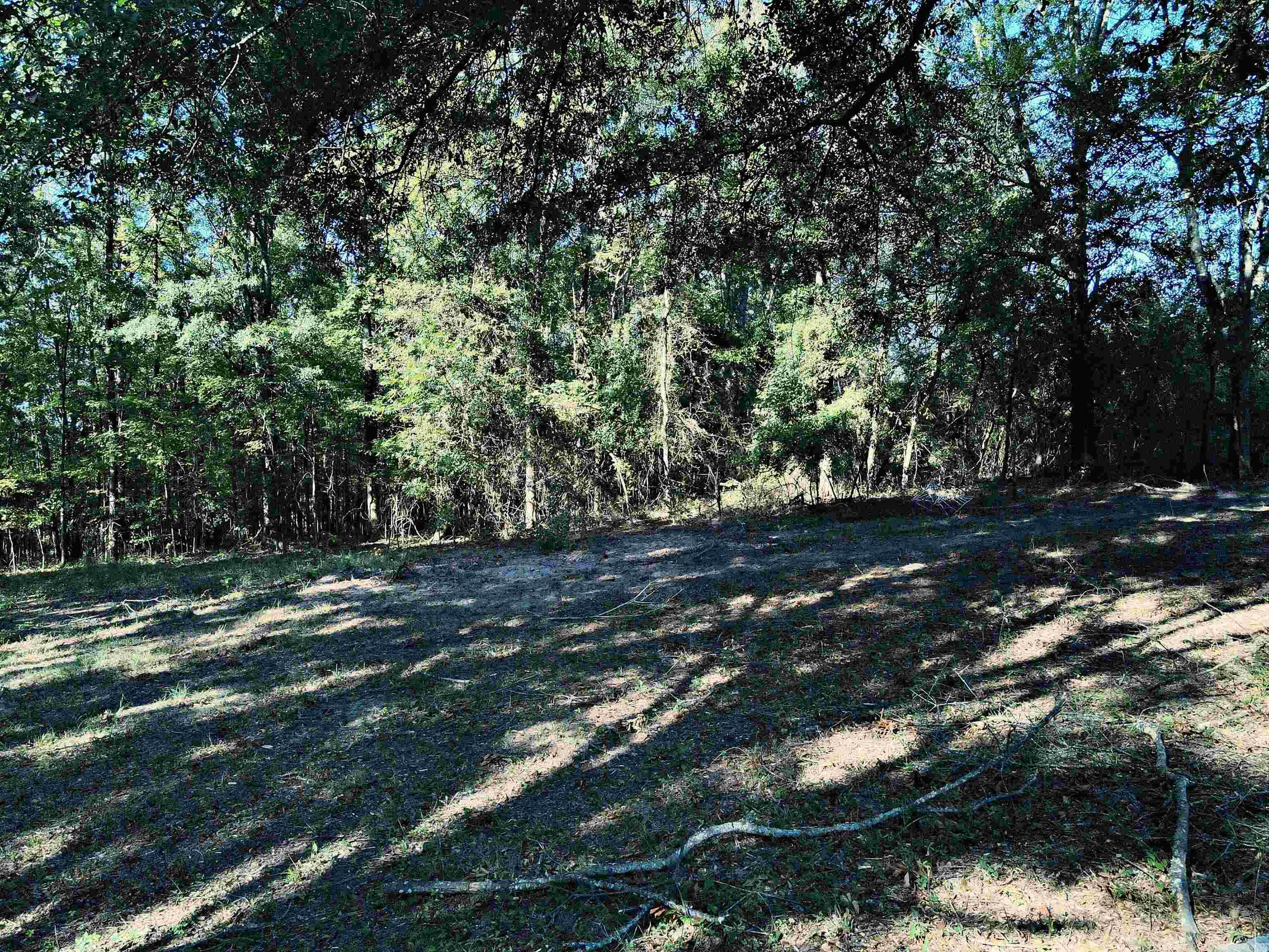 TBD Scottish Trail