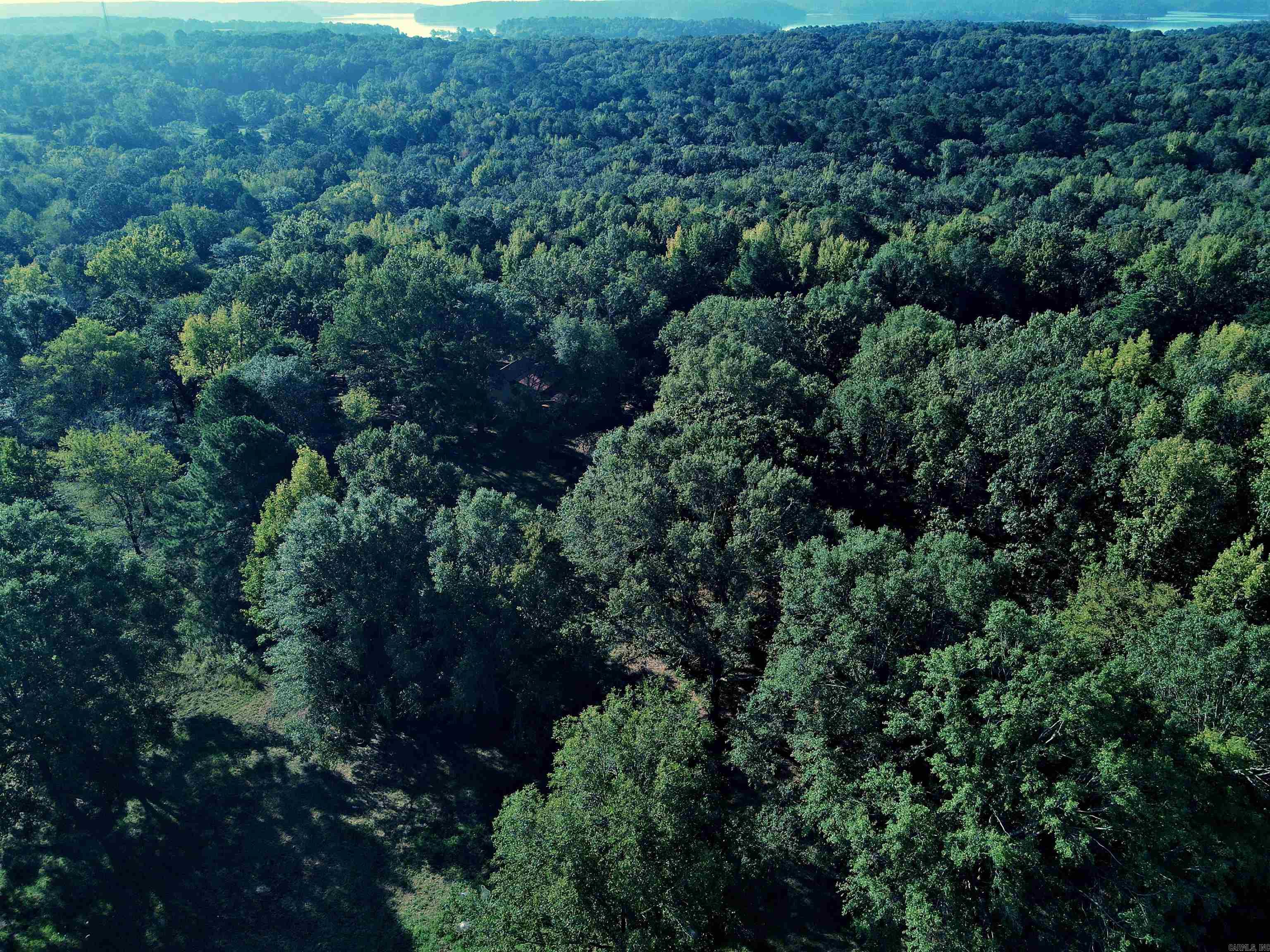 TBD Scottish Trail