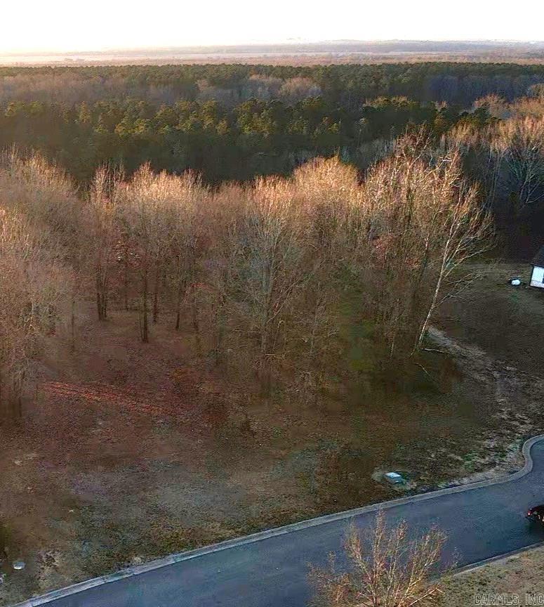 Lot 25 Birch Cove