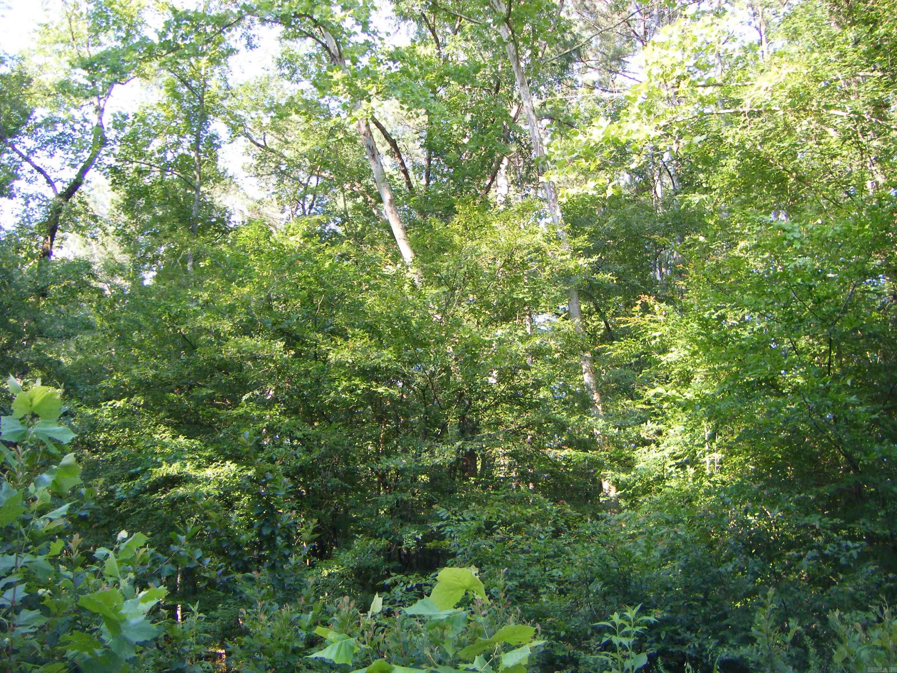 TBD Mosley Road