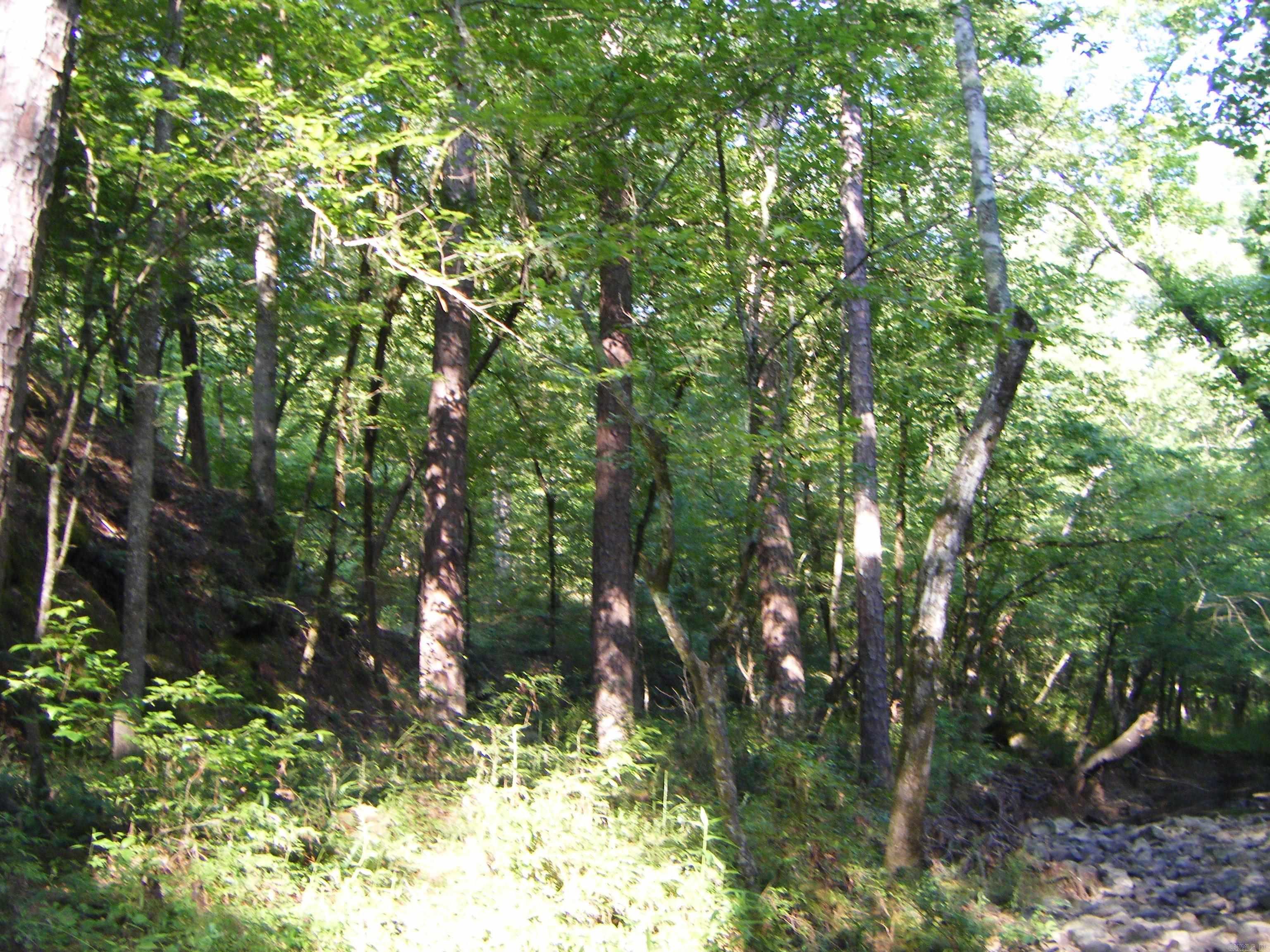TBD Mosley Road