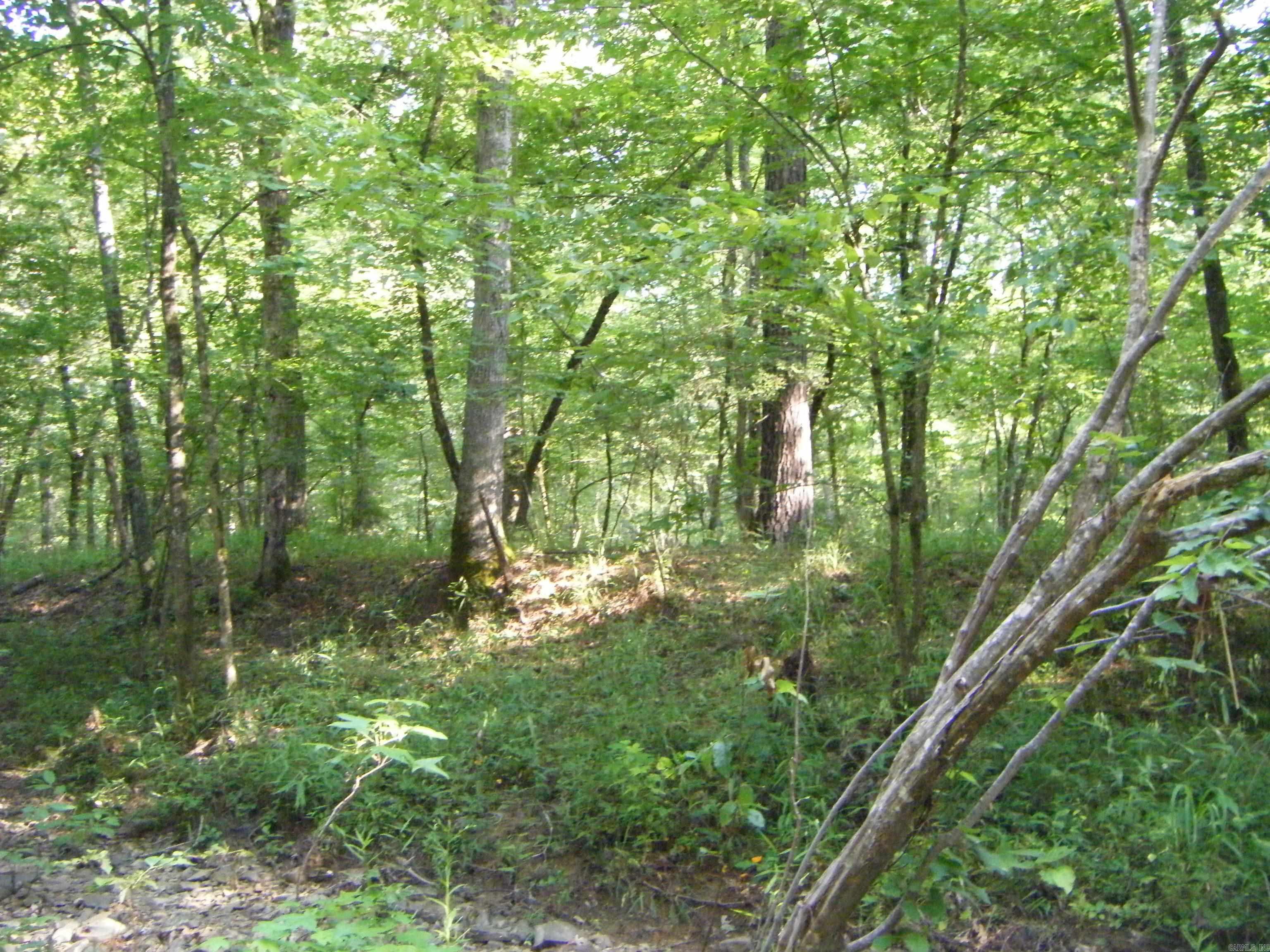 TBD Mosley Road