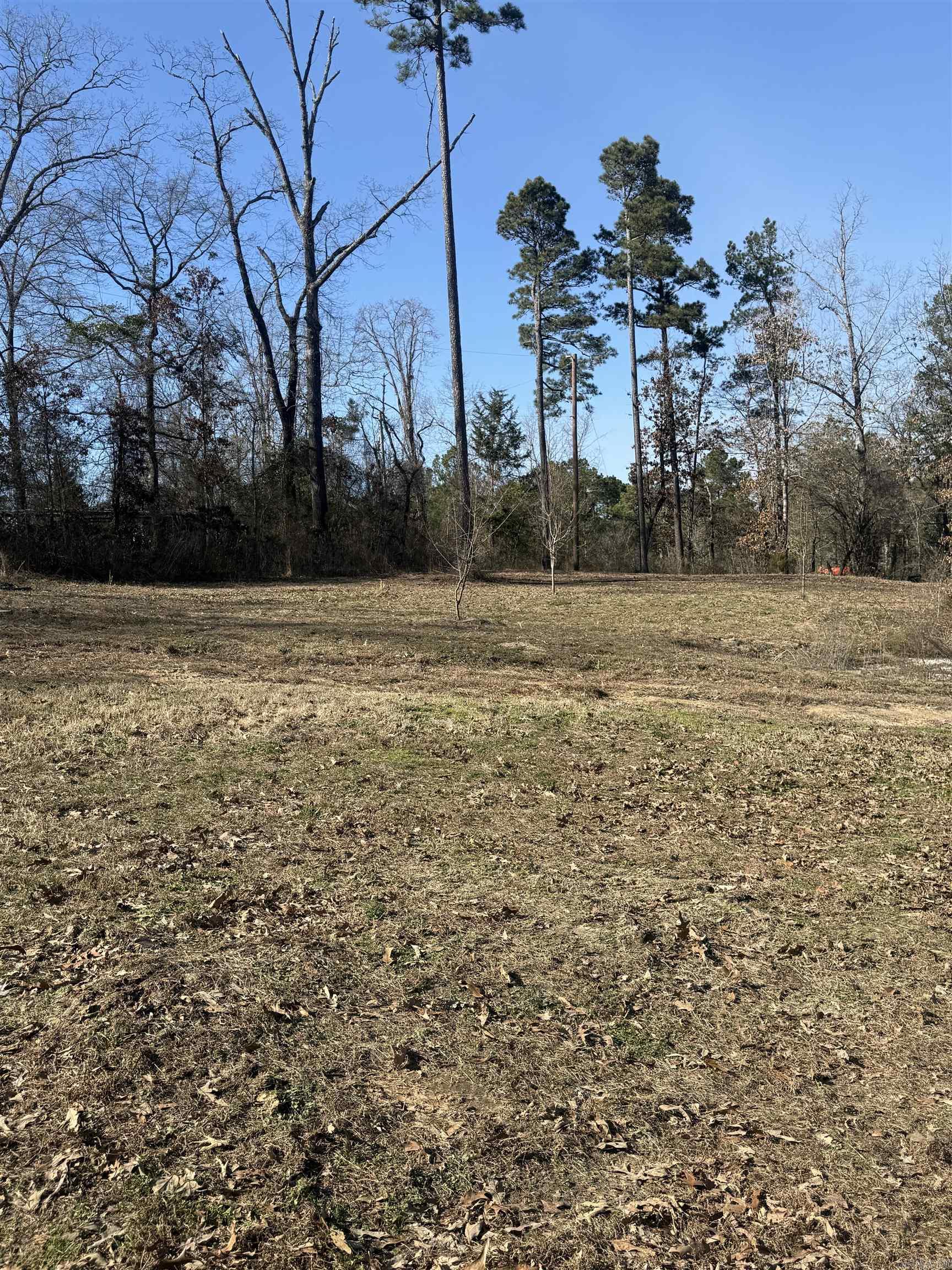 701 Peach Drive