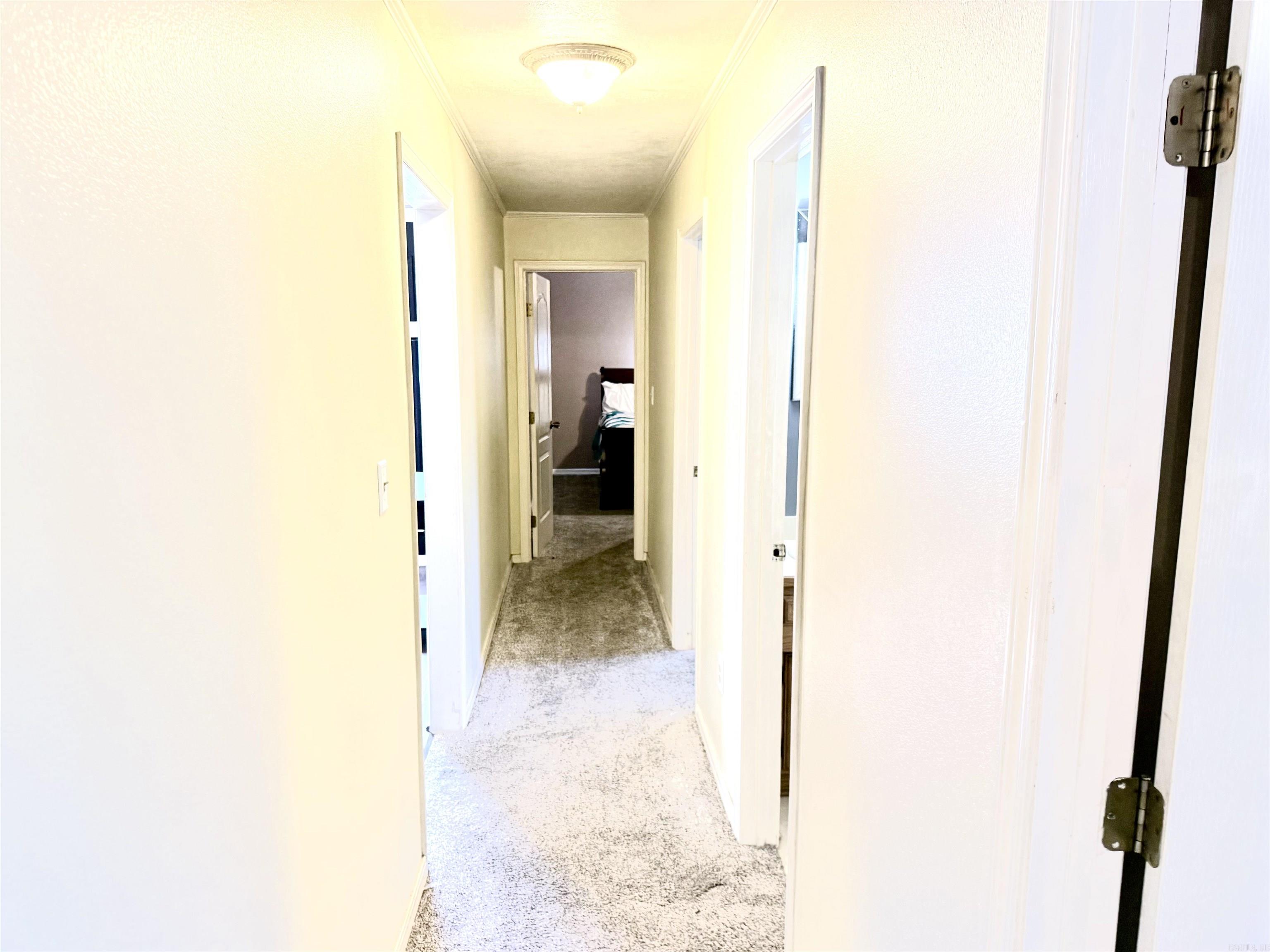 1004 Evergreen Drive