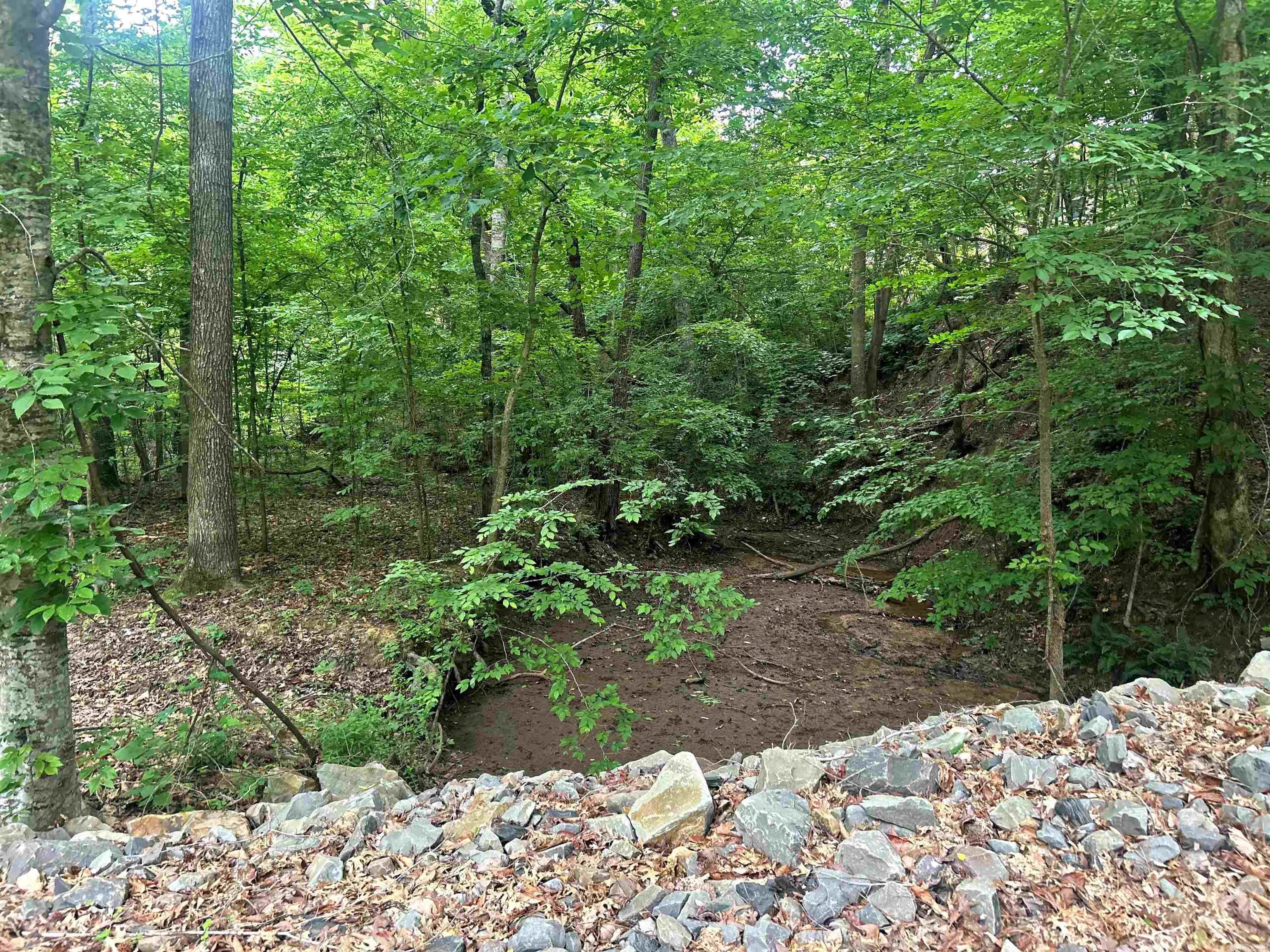 111 Apple Blossom Drive