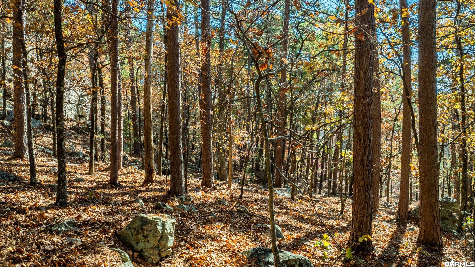 TBD Old Arkansas Drive