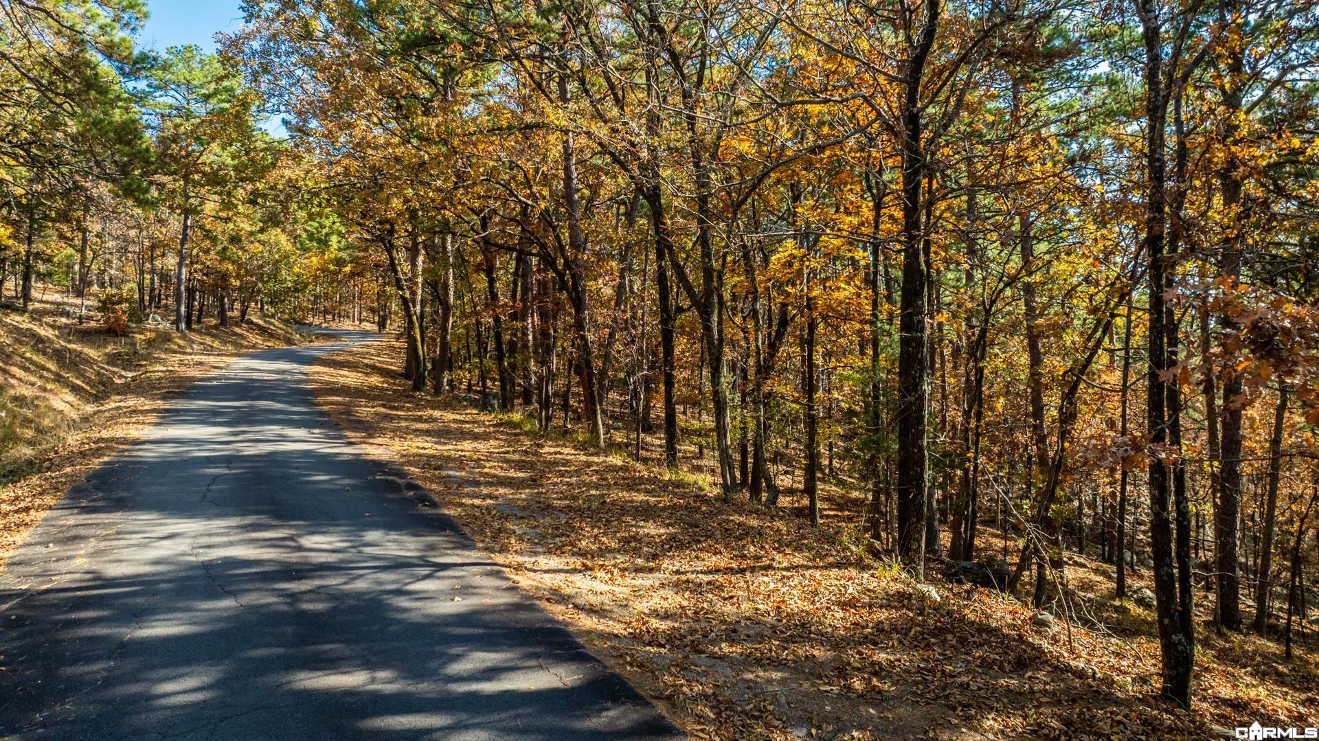 TBD Old Arkansas Drive