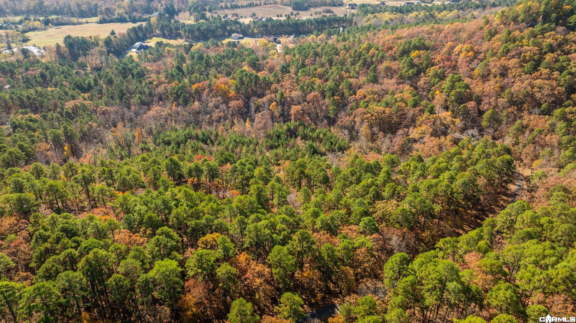 TBD Old Arkansas Drive